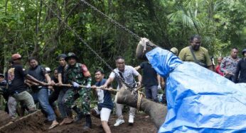 Gajah Molly Mati Terseret Arus Sungai Akibat Hujan Deras